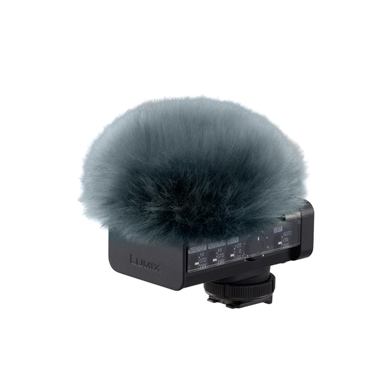 Panasonic LUMIX DMW-DMS1